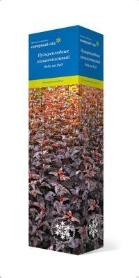 Пузыреплодник калинолистный Леди ин Ред/ЦКор в интернет гипермаркете «Планета Лета». Фото