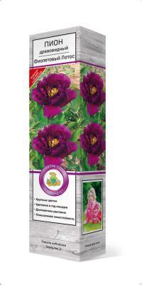 Пион древовидный Фиолетовый лотос П в интернет гипермаркете «Планета Лета». Фото