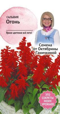 Сальвия Огонь 0,1 гр Ганичкина в интернет гипермаркете «Планета Лета». Фото