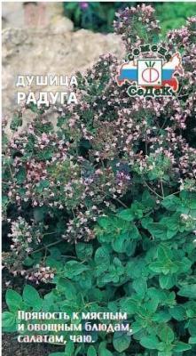 Душица Радуга в интернет гипермаркете «Планета Лета». Фото