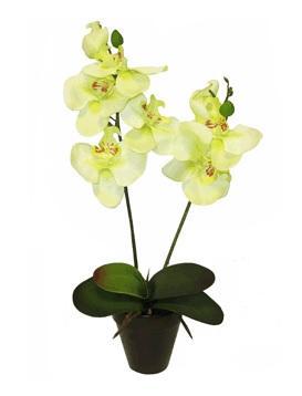 Цветок в кашпо 92589 в интернет гипермаркете «Планета Лета». Фото