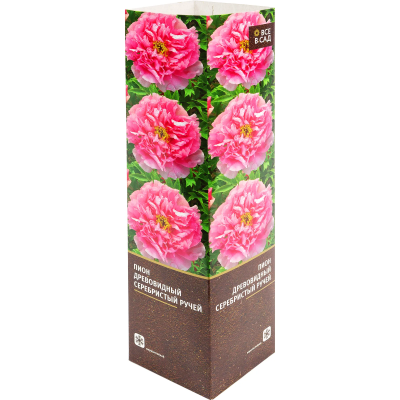 Пион древовидный Серебристый Ручей (туба) в интернет гипермаркете «Планета Лета». Фото