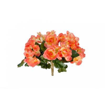 Бегония куст нежно-коралл со св. желтым в-15 см 20.1087PE в интернет гипермаркете «Планета Лета». Фото