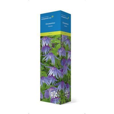 Клематис ботанический Сесиль/ЦКор в интернет гипермаркете «Планета Лета». Фото