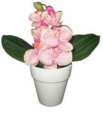 Орхидея в кашпо H-20см HR-26074 в интернет гипермаркете «Планета Лета». Фото