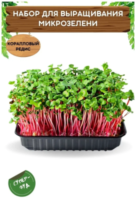 Набор для выращивания микрозелени "Коралловый редис" 5,5гр в интернет гипермаркете «Планета Лета». Фото