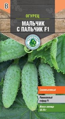 Огурец Мальчик с пальчик F1 парт 10шт в интернет гипермаркете «Планета Лета». Фото