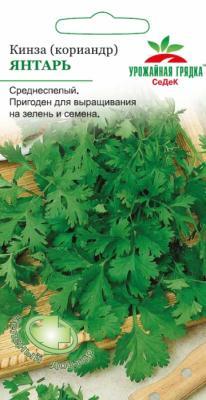 Кориандр Янтарь в интернет гипермаркете «Планета Лета». Фото