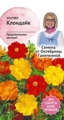 Космея Клондайк 0,3 гр Ганичкина в интернет гипермаркете «Планета Лета». Фото