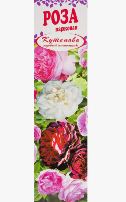Роза парковая Лариса/ЦКор П в интернет гипермаркете «Планета Лета». Фото