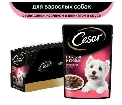 Корм консервированный Cesar, для взрослых собак, с говядиной, кроликом и шпинатом в соусе, 28 шт х 8 в интернет гипермаркете «Планета Лета». Фото