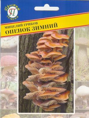 Опенок зимний в интернет гипермаркете «Планета Лета». Фото