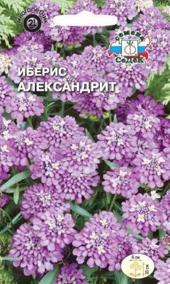 Иберис Александрит гибралтарский в интернет гипермаркете «Планета Лета». Фото