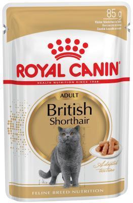 Корм ROYAL CANIN д/британской 1+ 85г в интернет гипермаркете «Планета Лета». Фото