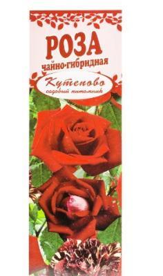 Роза чайно-гибридная Черная Магия в коробке Кут в интернет гипермаркете «Планета Лета». Фото