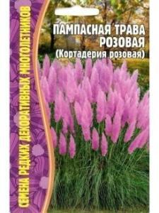Пампасная трава Пинк Фезер П в интернет гипермаркете «Планета Лета». Фото