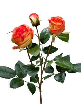 Роза Флорибунда Мидл ветвь золотисто-оранж в-36 см 2цв,1бут 12/72 30.0611065OR в интернет гипермаркете «Планета Лета». Фото