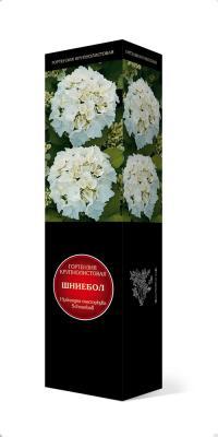 Гортензия крупнолистовая Шниебол/ЦКорЛюкс в интернет гипермаркете «Планета Лета». Фото