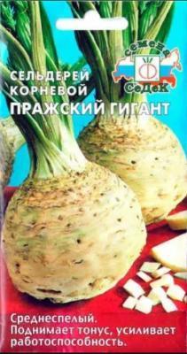 Сельдерей корневой Пражский гигант в интернет гипермаркете «Планета Лета». Фото