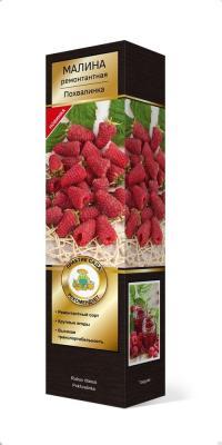 Малина ремонтантные сорта Похвалинка/ЦКорЛюкс в интернет гипермаркете «Планета Лета». Фото
